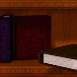 Leather Textures for Tome Image