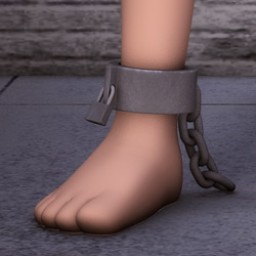 Ankle Shackles for Chip Image