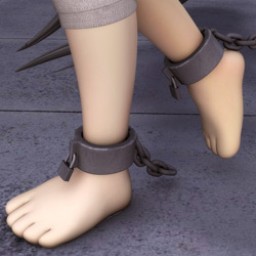 Ankle Shackles for Cookie Image