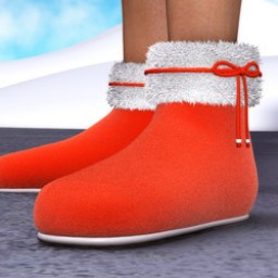 Santa Shoes for Dawn image