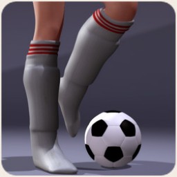 School Spirit: Soccer Socks and Shin Guards for V4 Image