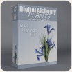 Digital Alchemy:  Blue Harmony Iris