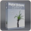 Digital Alchemy:  Date Palm