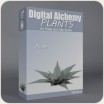 Digital Alchemy:  Aloe Deltoideodonta