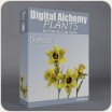 Digital Alchemy:  Daffodil