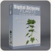 Digital Alchemy:  Mint Weed