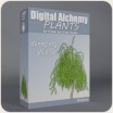 Digital Alchemy: Weeping Willow
