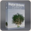 Digital Alchemy: White Oak