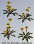 Digital Alchemy: Dandelions Image