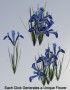 Digital Alchemy: Blue Harmony Iris Image